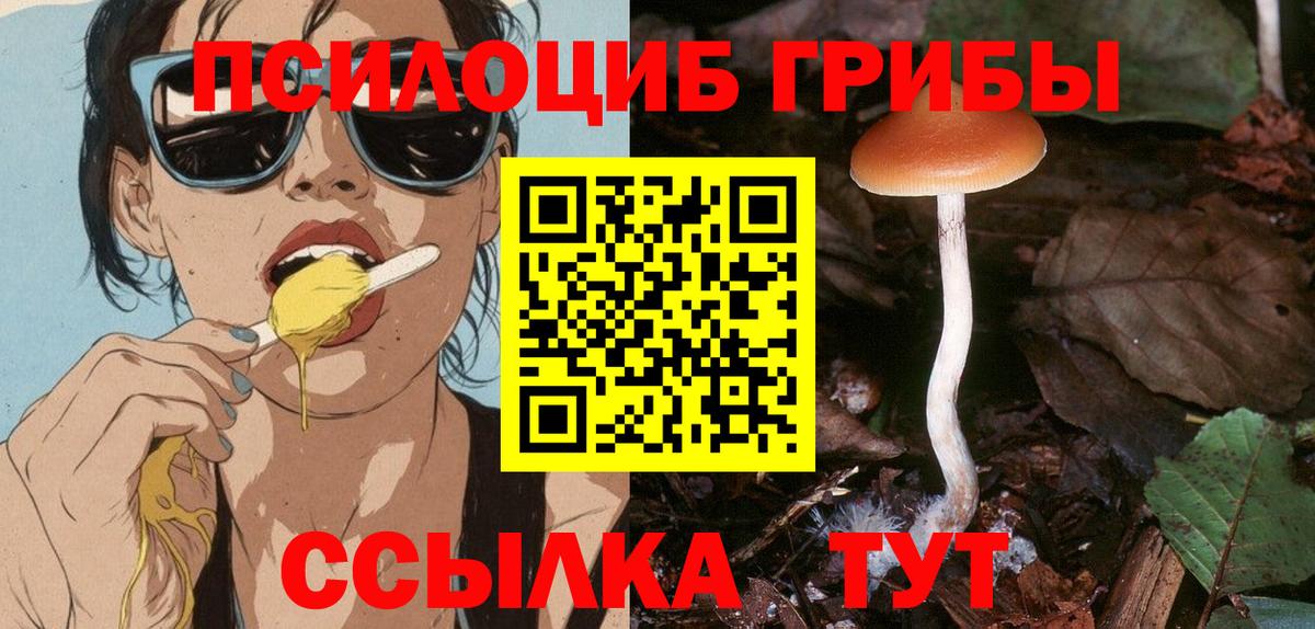 Псилоцибиновые грибы ЛСД Курганинск